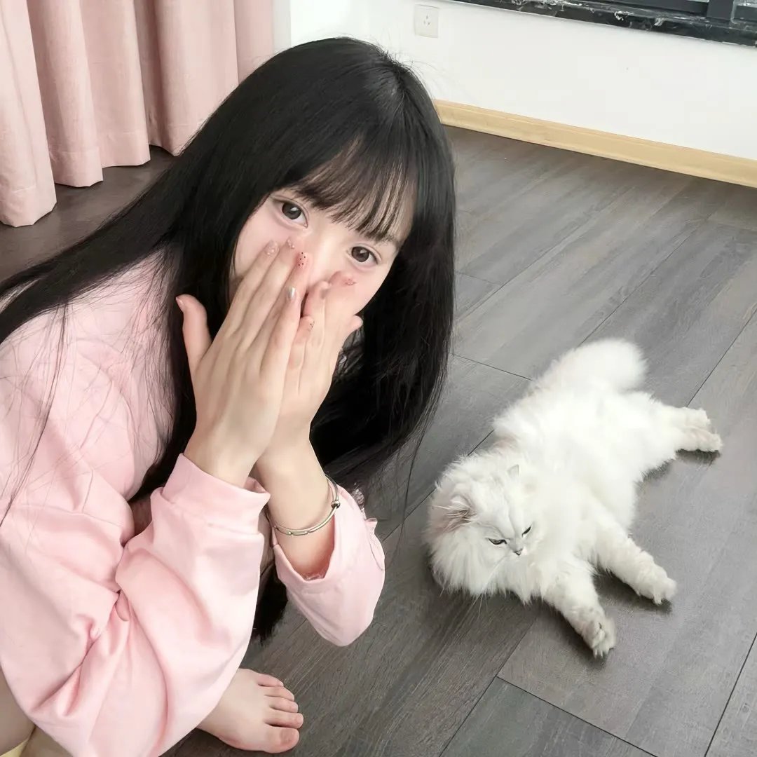 袋鼠拳王